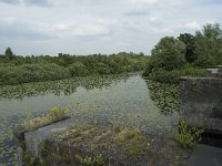 NL, Noord-Brabant, 's-Hertogenbosch, Moerputten 34, Saxifraga-Willem van Kruijsbergen