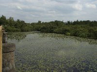 NL, Noord-Brabant, 's-Hertogenbosch, Moerputten 36, Saxifraga-Willem van Kruijsbergen