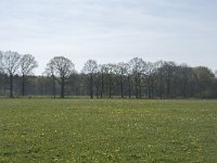 NL, Noord-Brabant, Alphen-Chaam, De Hoevens 19, Saxifraga-Willem van Kruijsbergen