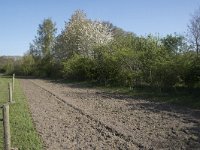 NL, Noord-Brabant, Alphen-Chaam, De Hoevens 2, Saxifraga-Willem van Kruijsbergen