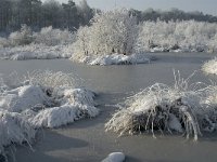 NL, Noord-Brabant, Alphen-Chaam, Goudberg 15, Saxifraga-Jan van der Straaten