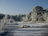 NL, Noord-Brabant, Alphen-Chaam, Goudberg 23, Saxifraga-Jan van der Straaten