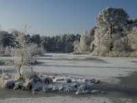 NL, Noord-Brabant, Alphen-Chaam, Goudberg 25, Saxifraga-Jan van der Straaten