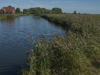 NL, Noord-Brabant, Altena, Bakkerskil 5, Saxifraga-Jan van der Straaten