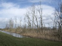 NL, Noord-Brabant, Altena, Boomgat 1, Saxifraga-Willem van Kruijsbergen