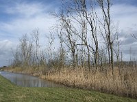 NL, Noord-Brabant, Altena, Boomgat 2, Saxifraga-Willem van Kruijsbergen