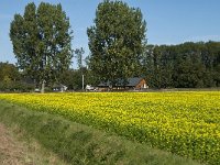 NL, Noord-Brabant, Altena, Dertien Morgen 2, Saxifraga-Jan van der Straaten