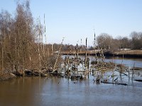 NL, Noord-Brabant, Altena, Gat van Lijnoorden 8, Saxifraga-Roel Meijer