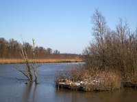 NL, Noord-Brabant, Altena, Gat van Lijnoorden 9, Saxifraga-Roel Meijer