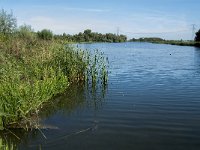 NL, Noord-Brabant, Altena, Gat van Loopgauw 1, Saxifraga-Jan van der Straaten