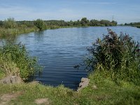 NL, Noord-Brabant, Altena, Gat van Loopgauw 3, Saxifraga-Jan van der Straaten