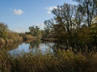 NL, Noord-Brabant, Altena, Gat van den Hardenhoek 59, Saxifraga-Jan van der Straaten