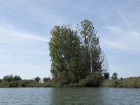 NL, Noord-Brabant, Altena, Gat van den Kleinen Hil 12, Saxifraga-Willem van Kruijsbergen