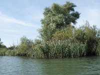 NL, Noord-Brabant, Altena, Gat van den Kleinen Hil 46, Saxifraga-Annemiek Bouwman