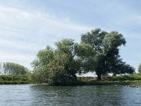 NL, Noord-Brabant, Altena, Gat van den Kleinen Hil 51, Saxifraga-Annemiek Bouwman