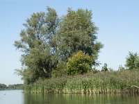 NL, Noord-Brabant, Altena, Gat van den Kleinen Hil 74, Saxifraga-Annemiek Bouwman