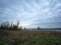 NL, Noord-Brabant, Altena, Hardenhoek 1, Saxifraga-Bart Vastenhouw