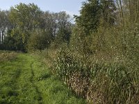 NL, Noord-Brabant, Altena, Kornsche Boezem 8, Saxifraga-Jan van der Straaten