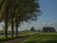 NL, Noord-Brabant, Altena, Kroonprinshoeve 7, Saxifraga-Marijke Verhagen