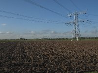 NL, Noord-Brabant, Altena, Middelste Kievitswaard 1, Saxifraga-Jan van der Straaten