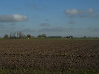 NL, Noord-Brabant, Altena, Middelste Kievitswaard 8, Saxifraga-Marijke Verhagen