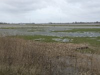 NL, Noord-Brabant, Altena, Nieuwe Merwede 30, Saxifraga-Willem van Kruijsbergen