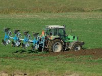 NL, Noord-Brabant, Altena, Polder De Kroon en de Zalm 4, Saxifraga-Jan van der Straaten