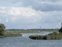 NL, Noord-Brabant, Altena, Polder Ganzewei 14, Saxifraga-Willem van Kruijsbergen