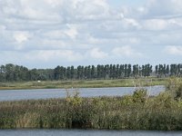 NL, Noord-Brabant, Altena, Polder Ganzewei 2, Saxifraga-Willem van Kruijsbergen