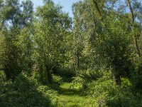 NL, Noord-Brabant, Altena, Polder Het Jannezand 11, Saxifraga-Jan van der Straaten