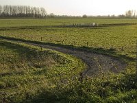 NL, Noord-Brabant, Altena, Polder Hooge Hof 5, Saxifraga-Jan van der Straaten