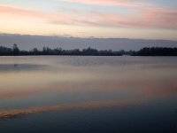 Natuurontwikkeling Biesbosch Jantjesplaat