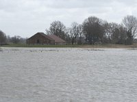 NL, Noord-Brabant, Altena, Polder Keizersguldenwaard 4, Saxifraga-Willem van Kruijsbergen