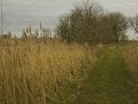 NL, Noord-Brabant, Altena, Polder Maltha 9, Saxifraga-Jan van der Straaten