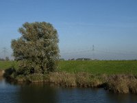 NL, Noord-Brabant, Altena, Polder Middelland 2, Saxifraga-Jan van der Straaten