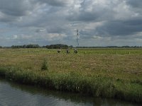 NL, Noord-Brabant, Altena, Polder Middelland 3, Saxifraga-Jan van der Straaten