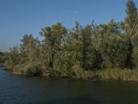 NL, Noord-Brabant, Altena, Polder Pauluszand 2, Saxifraga-Jan van der Straaten