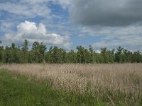 NL, Noord-Brabant, Altena, Ruwenhennip 16, Saxifraga-Jan van der Straaten