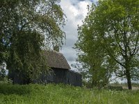 NL, Noord-Brabant, Altena, Ruwenhennip 5, Saxifraga-Jan van der Straaten