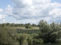 NL, Noord-Brabant, Altena, Ruwenhennip 50, Saxifraga-Willem van Kruijsbergen