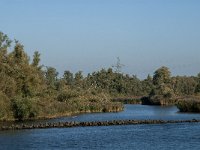 NL, Noord-Brabant, Altena, Spijkerboor 2, Saxifraga-Jan van der Straaten