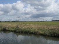 NL, Noord-Brabant, Altena, Steurgat, Polder Pauluszand 1, Saxifraga-Willem van Kruijsbergen