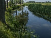 NL, Noord-Brabant, Altena, Vierbansche Gantel 4, Saxifraga-Jan van der Straaten