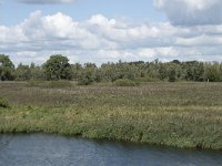 NL, Noord-Brabant, Altena, Vijf Ambachten 14, Saxifraga-Willem van Kruijsbergen