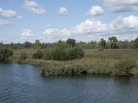 NL, Noord-Brabant, Altena, Vijf Ambachten 15, Saxifraga-Willem van Kruijsbergen