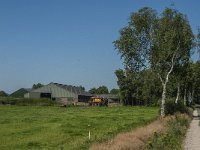 NL, Noord-Brabant, Asten, Kokmeeuwenweg 2, Saxifraga-Marijke Verhagen