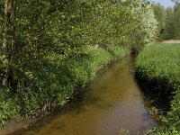 NL, Noord-Brabant, Baarle-Nassau, Baarlebrug 17, Saxifraga-Jan van der Straaten