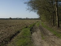 NL, Noord-Brabant, Baarle-Nassau, Baarlebrug 2, Saxifraga-Jan van der Straaten