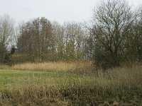 NL, Noord-Brabant, Baarle-Nassau, Baarlebrug 21, Saxifraga-Willem van Kruijsbergen