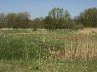 NL, Noord-Brabant, Baarle-Nassau, Baarlebrug 4, Saxifraga-Jan van der Straaten